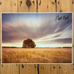 Nawglan A3 glossy signed artwork print